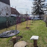 Teren intravilan de vanzare 500 mp in Campina, Oportunitate