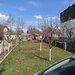 Teren intravilan de vanzare 500 mp in Campina, Oportunitate